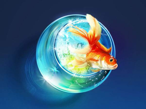 動物画像のすべて 新鮮なかっこいい 金魚 イラスト おしゃれ