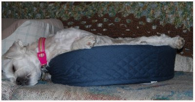 Sleepy-Big-Girl