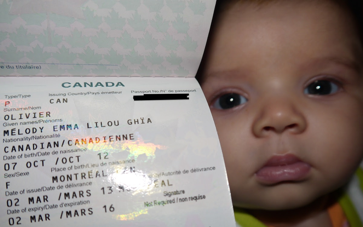 Passeport Canadien Polar Bears Are Free