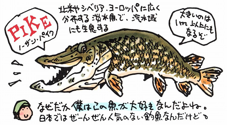 アイルランド釣り旅紀行 古城をバックにパイク釣り Monsters Pro Shop