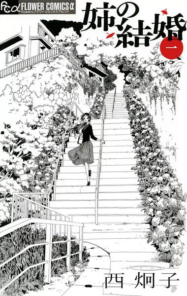 漫画 姉の結婚のネタバレ 1巻 アラフォーに近づくイケメン医師