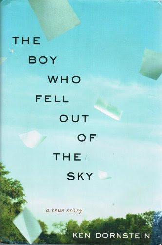 The Boy Who Fell Out of the Sky, by KEN DORNSTEIN