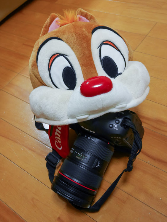 ディズニーランドのカメラ事情 神戸市灘区のむらまつ歯科院長の徒然日記