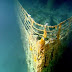How Much Money Did It Take to Build the Titanic