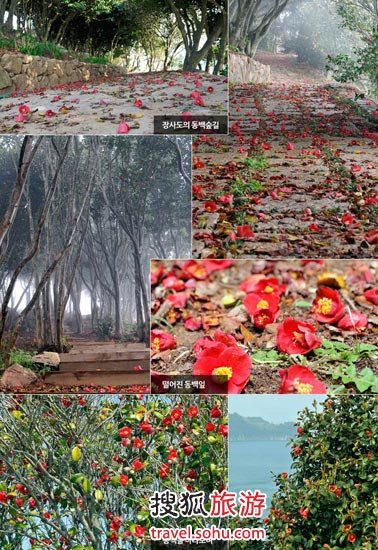 陷入魅力花样长蛇岛都教授千颂伊私奔地 组图 搜狐滚动