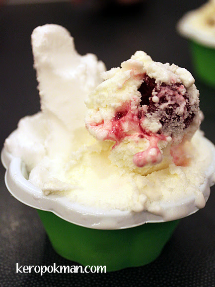 Coconut Sorbet and Yogi