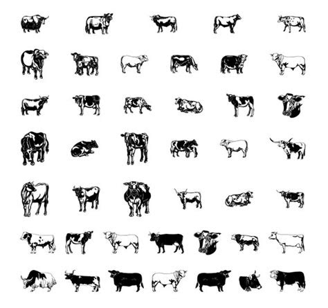 steer bull hereford beef farm calf clipart etsy