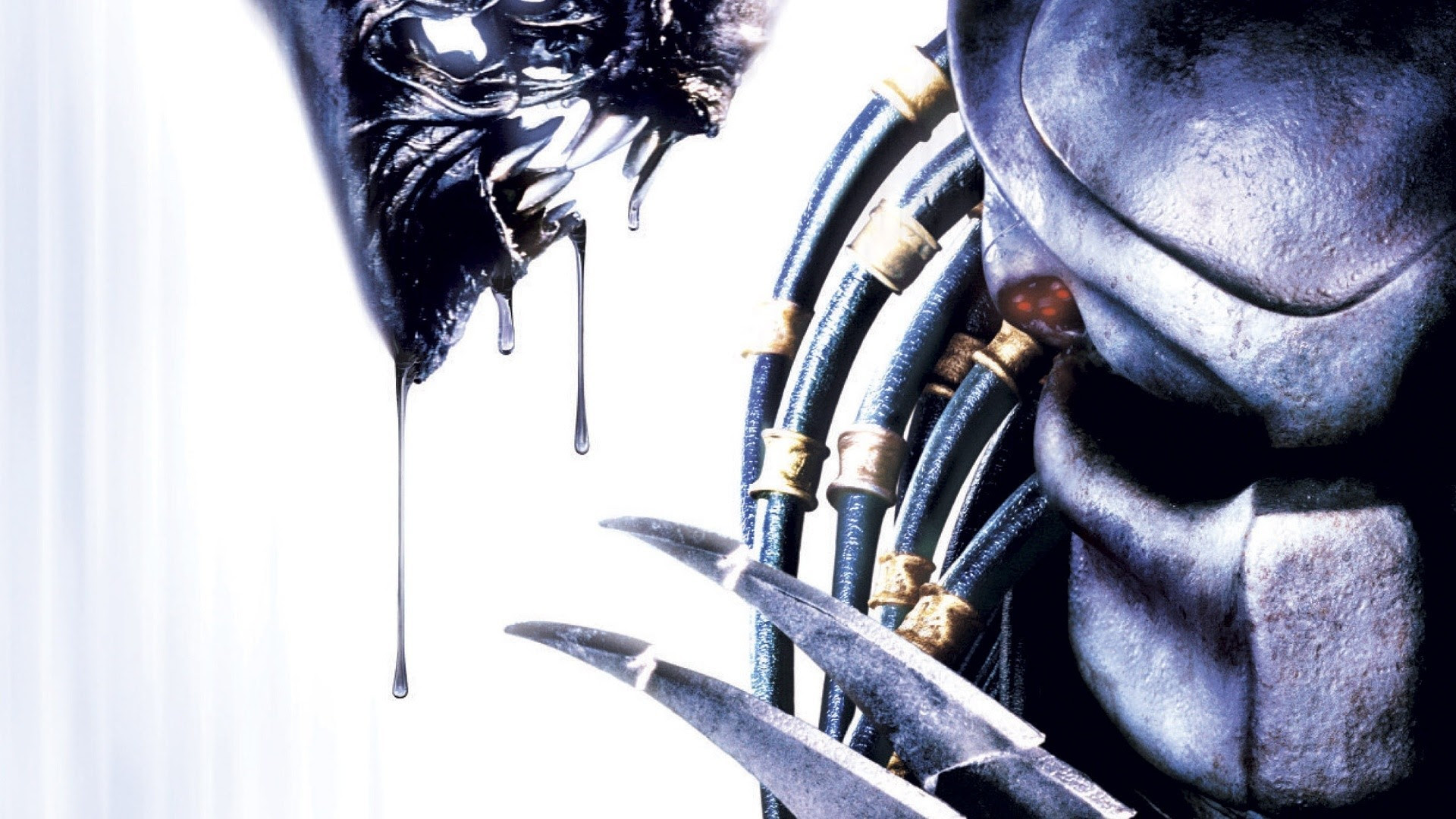 Alien Vs Predator Wallpaper 4