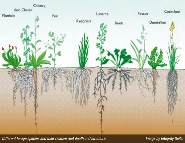 How managing for increased biodiversity can help farmers ...