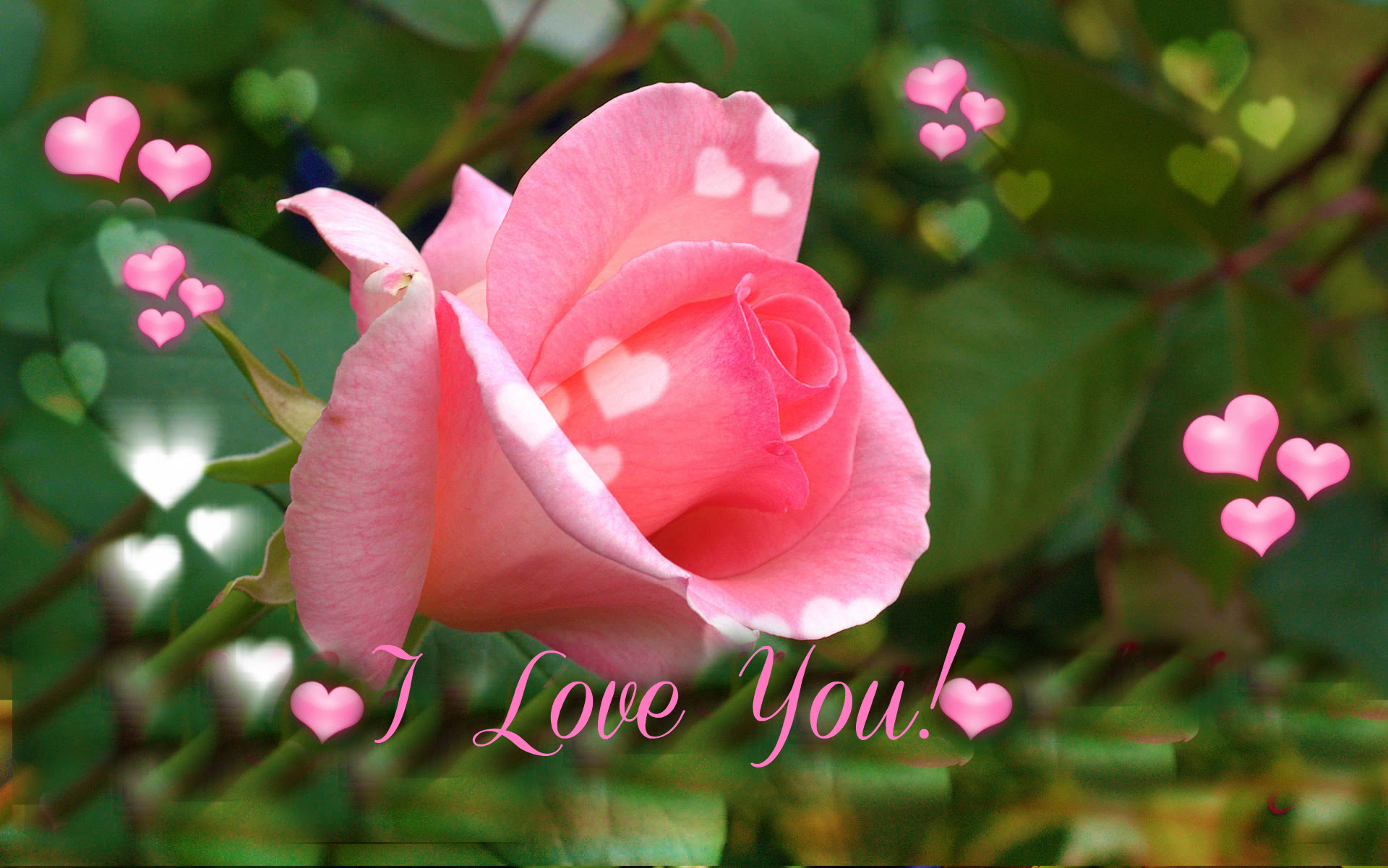 Free I Love You S Download Free I Love You S Png Images Free Cliparts On Clipart Library