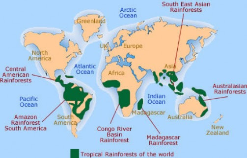 The Congo Rainforest - Location & Introduction