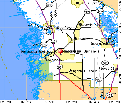 Homosassa Springs Florida Fl 34448 Profile Population Maps Real Estate Averages Homes Statistics Relocation Travel Jobs Hospitals Schools Crime Moving Houses News Sex Offenders
