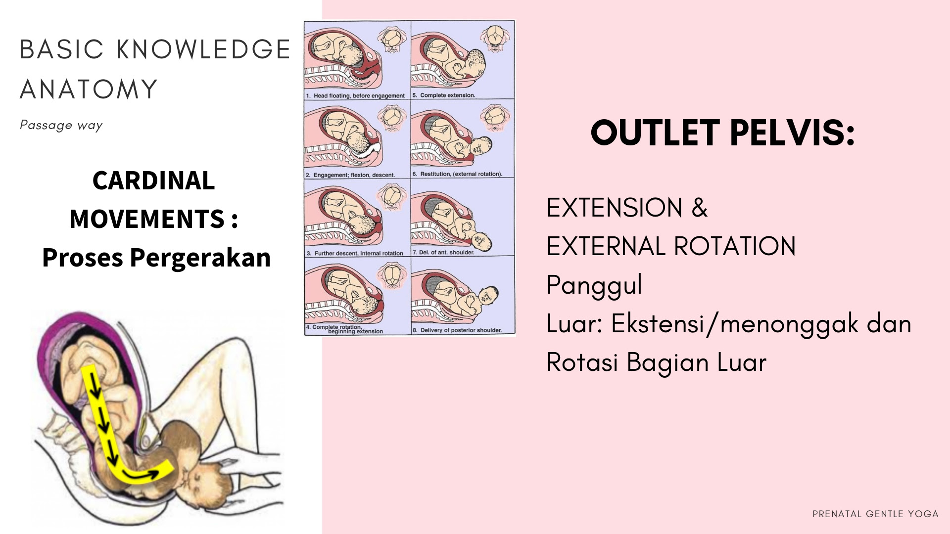 Ketika saya mengajar untuk para bidan di pelatihan prenatal gentle yoga Ligamen Sacrotuberous; kunci atasi persalinan yang Lama dan panjang