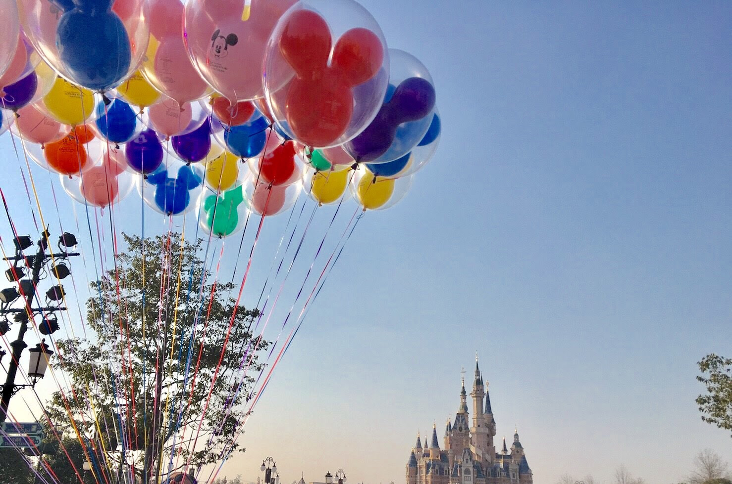 アトラクションが超ハイクオリティー 上海ディズニーランドは日本のディズニーより楽しい 絶景in 国内 海外旅行記