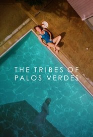 telecharger The Tribes of Palos Verdes dvdrip french 2017