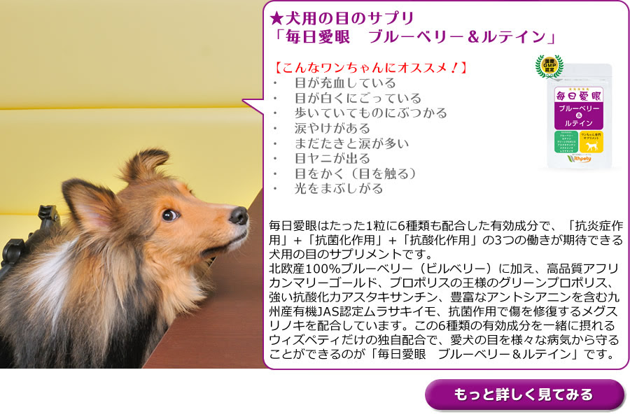 松本秀樹さんオススメ 愛犬用サプリのご紹介 ペットと泊まれる宿 愛犬と泊まれる宿 Pet宿 Com 愛犬やペットと一緒に旅行に行くための宿泊予約サイト ペット宿ドットコム