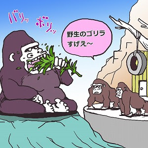 中部大学 講義を見てみる テレメール進学サイト