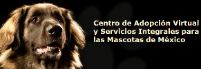 Visita CavsiMX