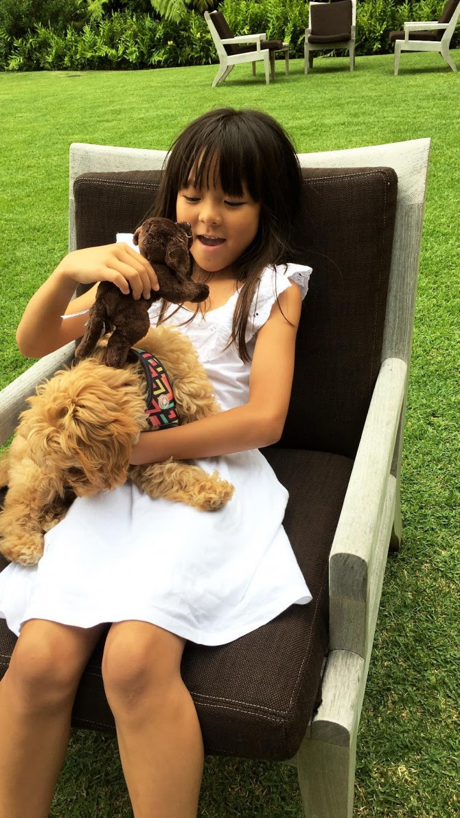 キュートすぎる 犬とたわむれる紗蘭ちゃん Chosun Online 朝鮮日報