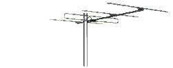 yagi