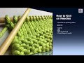 How to Knit - Cast On Beginner (with closed captions)
