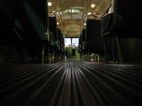 Flatty from the back of the bus