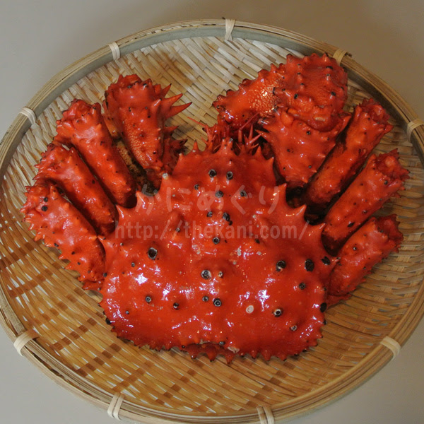 花咲ガニ カニ通販でも希少価値が高く 北海道根室地区でしか獲れない幻のカニ かにめぐり