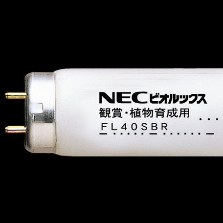 植物育成用蛍光ランプ 東芝プラントルクス Necビオルックスaを激安販売 世界電器