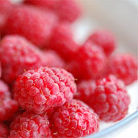 raspberries and chocolate