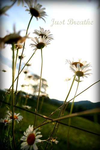 breathe