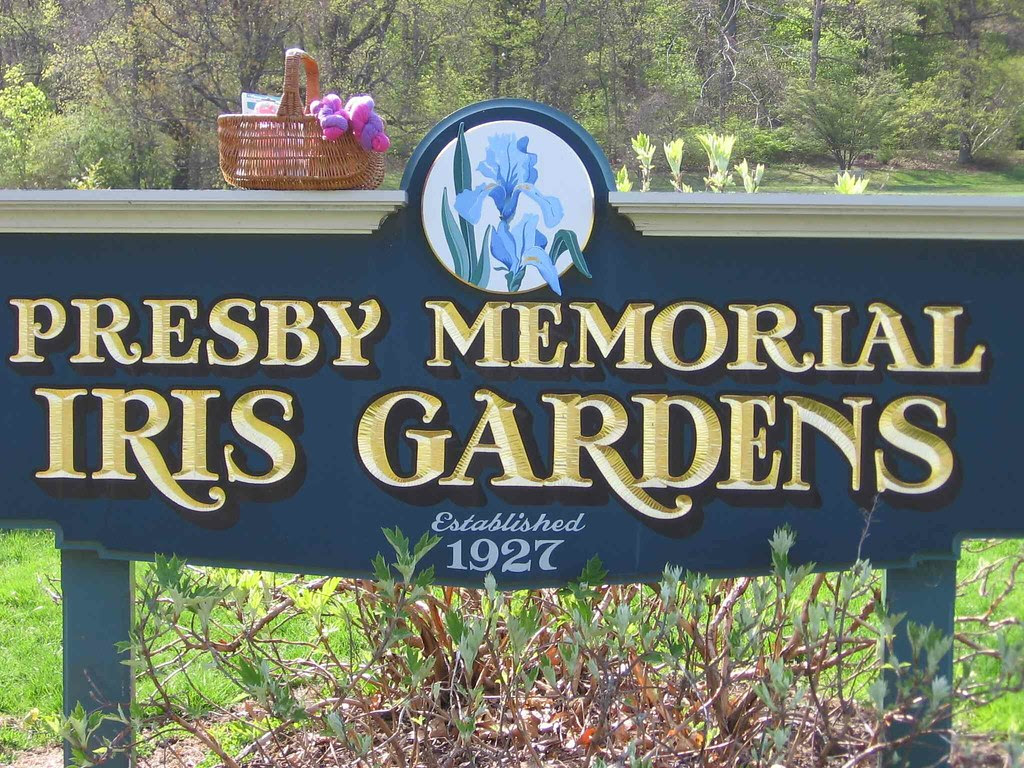 I is for iris gardens