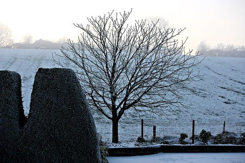 cold & frosty morning