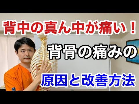背骨 の 痛み 原因