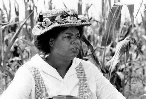 oprah winfrey the color purple