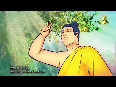 Phật Thuyết Luân Chuyển - Ngũ Đạo Tội Phước Báo Ứng Kinh