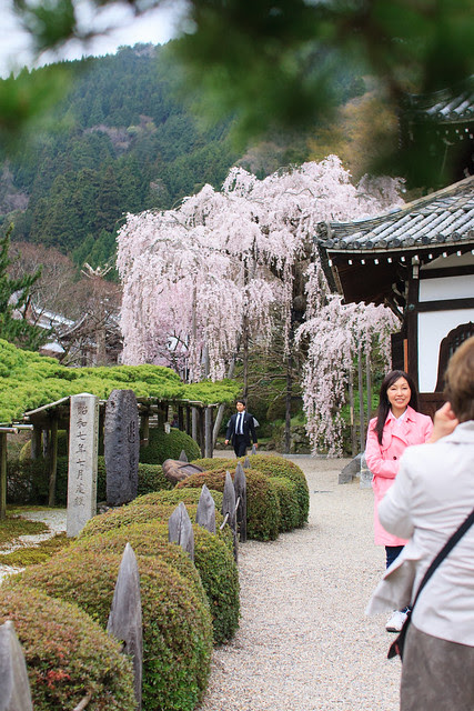 20120416-Yoshimine-dera-3