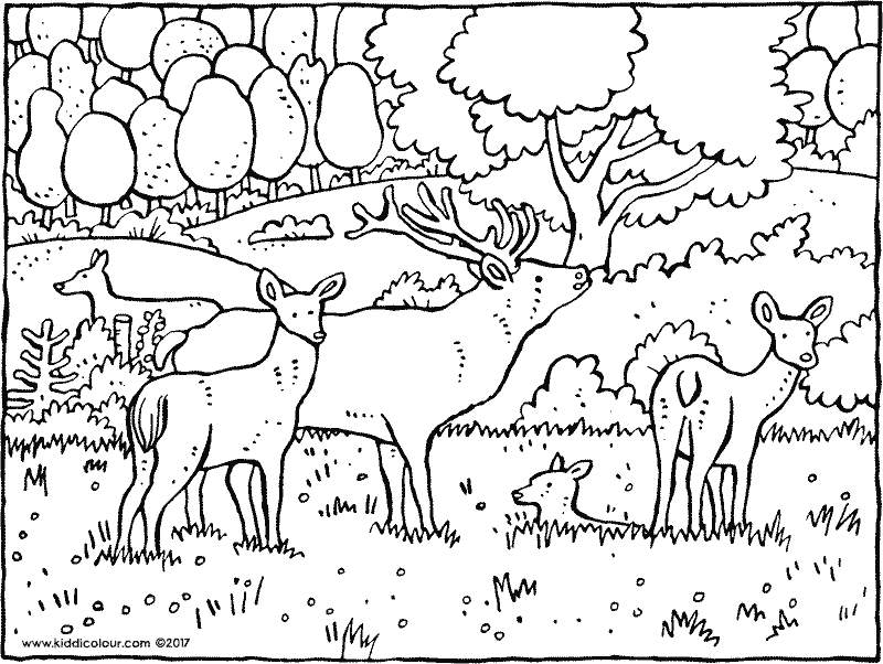Woods Coloring Pages at GetColorings.com | Free printable colorings