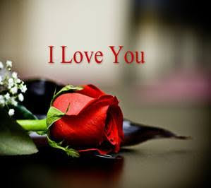 Download Red Rose I Love You Quote Heart Touching Love Quote For Your Mobile Cell Phone