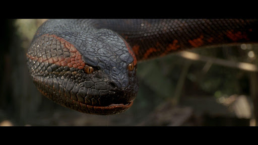 Anaconda Movie Wallpapers