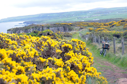 Dunseverick-Causeway Trail
