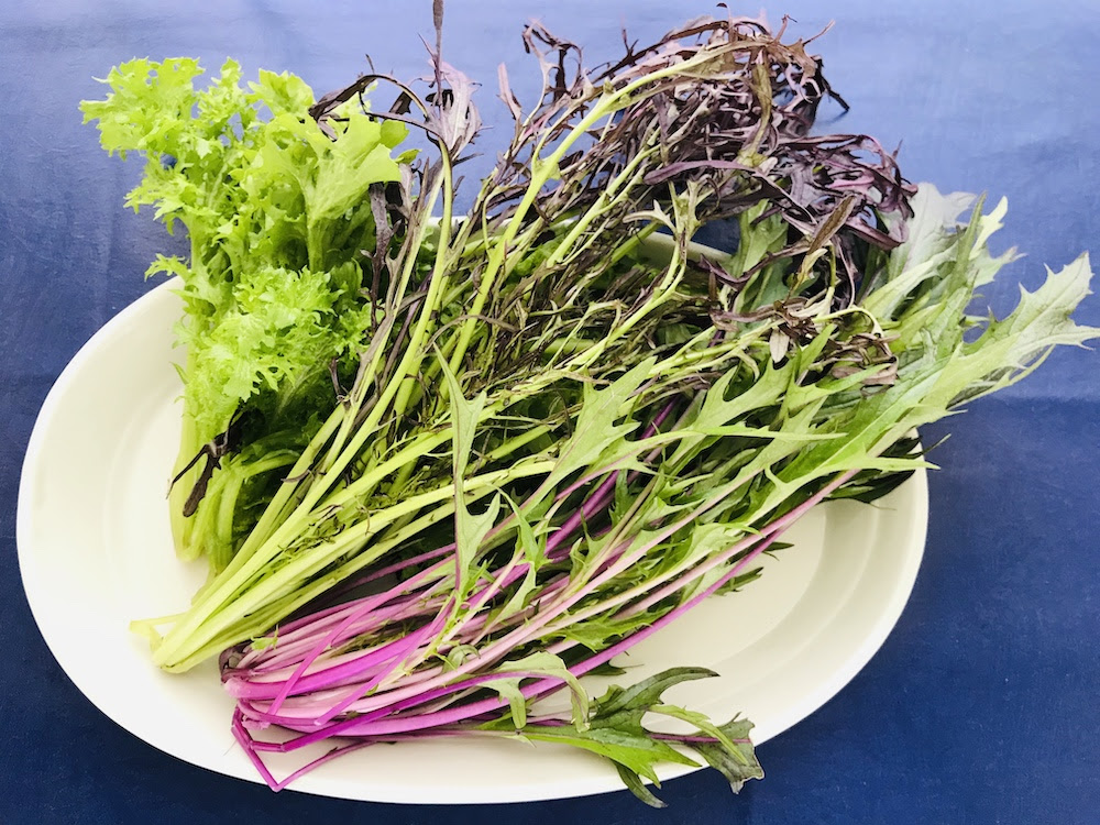 2月おすすめ ランチ食材は シャキッと採れたて 三浦半島産の 葉もの野菜 です 横須賀アクアマーレ