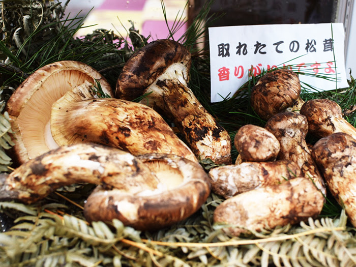郷土特産土産品 長野 上田で松茸を堪能するなら松茸小屋 あぜみち山荘