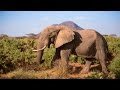 Walk alongside the elephants of the Samburu National Reserve in Street View