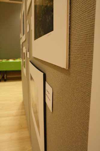 photo show entries