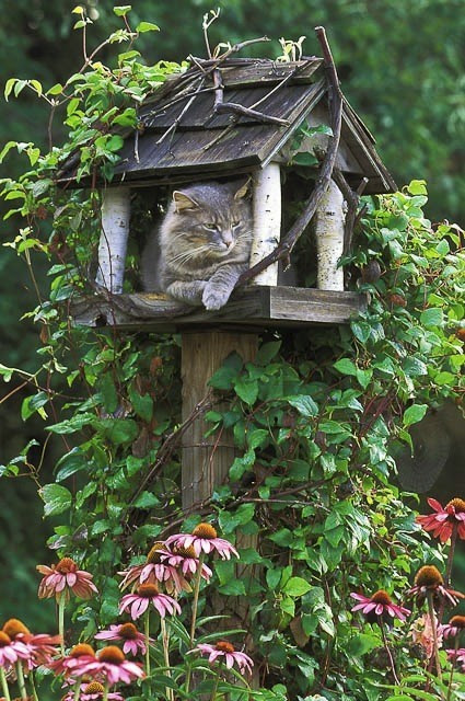 non-racist birdhouse