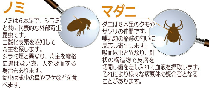 ノミ ダニ予防薬大特集セール 本間アニマルメディカルサプライ