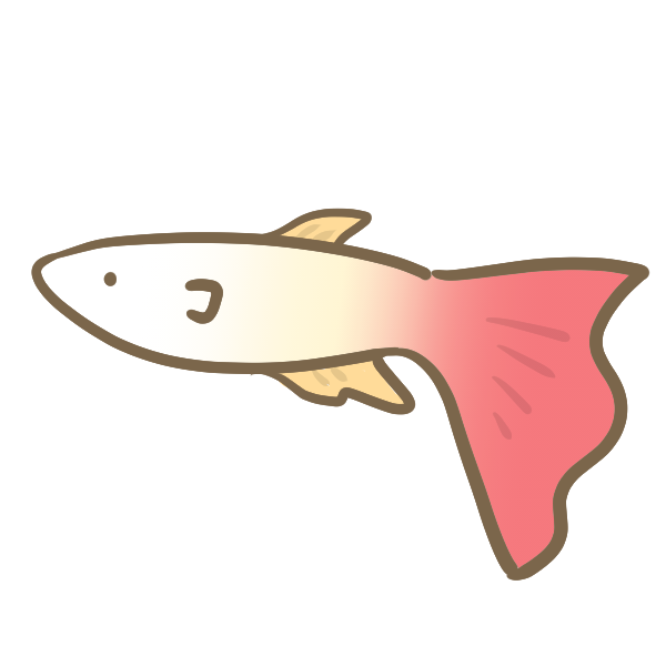 グッピー 赤 のイラスト かわいいフリー素材が無料のイラストレイン