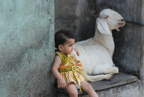 Marziya Shakir and Goat by firoze shakir photographerno1