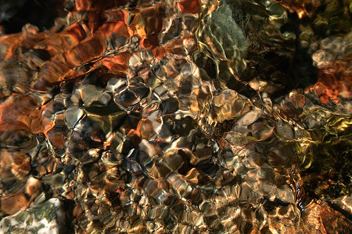 light in the water