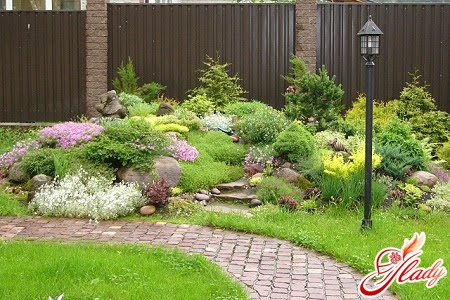  The device rock garden on the plot  